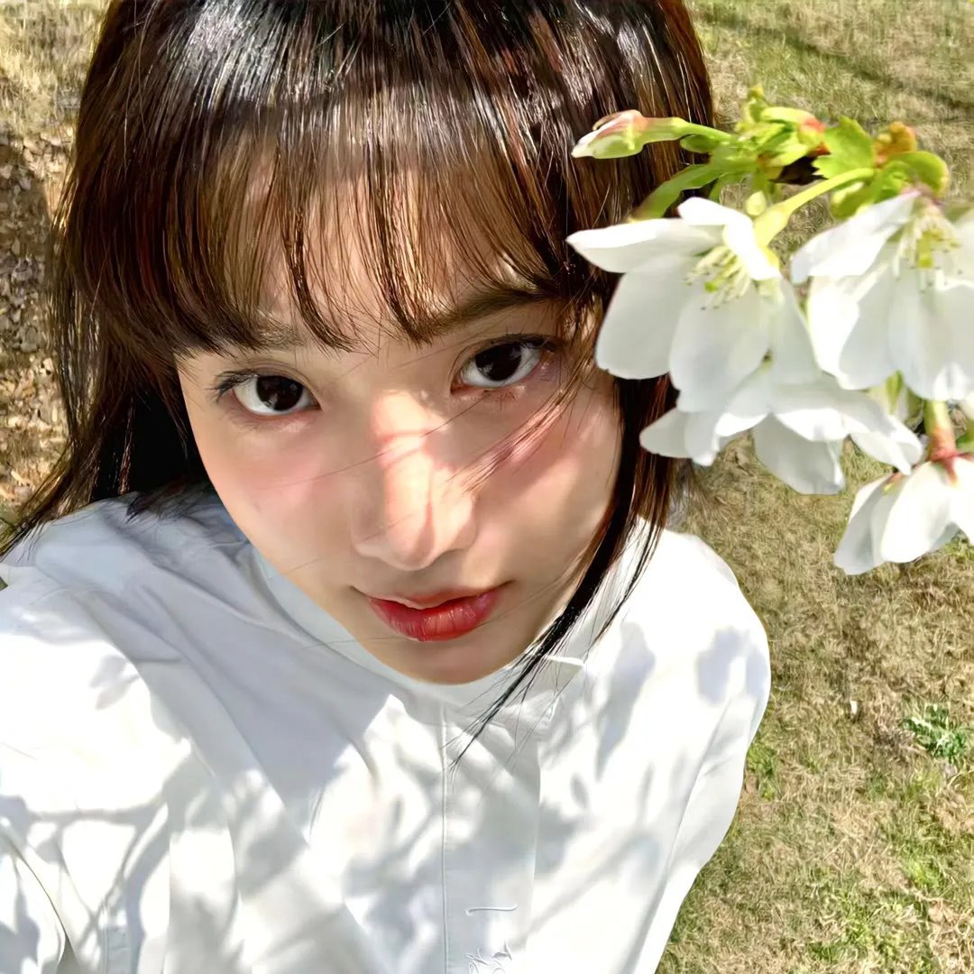 我心飞扬